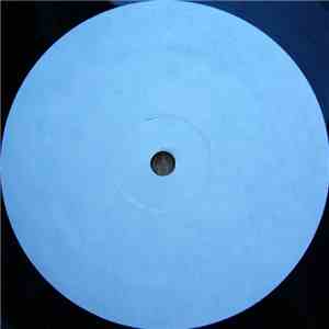 95 North Feat. Dave Sinkfield - Get Your (Mind Together) mp3 album