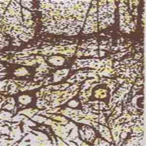 Acre - Bleeding mp3 album