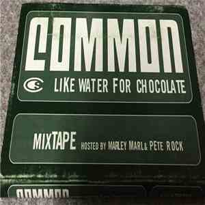Common - Like Water For Chocolate Mixtape mp3 album