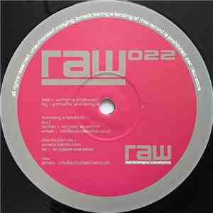 Guy McAffer & Lenny Dee - RAW 022 mp3 album