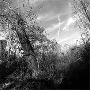 Harvey Milk - A Small Turn Of Human Kindness mp3 album
