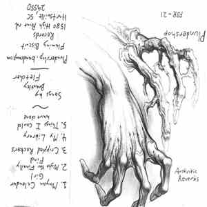 Plundershop - Arthritic Reverbs mp3 album