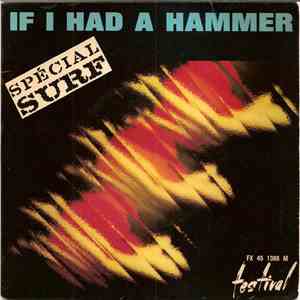 Ray Pilgrim / Starlings / The Typhoons - If I Had A Hammer Spécial Surf mp3 album