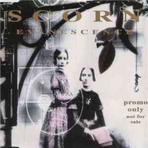 Scorn - Evanescence mp3 album