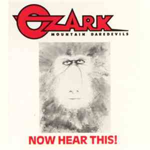 The Ozark Mountain Daredevils - Now Hear This! mp3 album