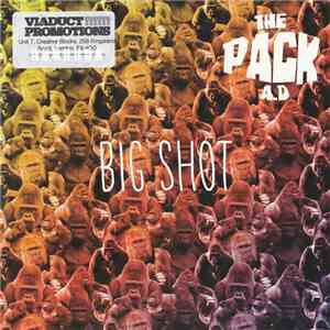 The Pack A.D. - Big Shot mp3 album