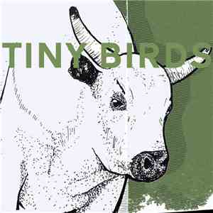 Tiny Birds - Don't Let The Sun Go Down On Your Anger / Jeff Goldblum mp3 album