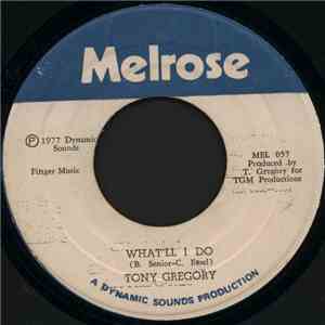Tony Gregory - What'll I Do / I Will Be Your Friend mp3 album