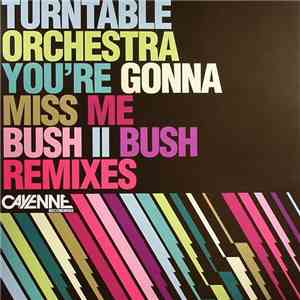 Turntable Orchestra - You're Gonna Miss Me (Bush II Bush Remixes) mp3 album