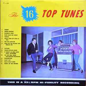 Unknown Artist - The 16 Top Tunes mp3 album