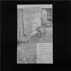Various - Neuengamme mp3 album