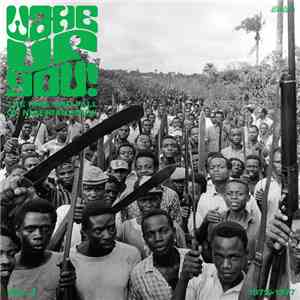 Various - Wake Up You! The Rise And Fall of Nigerian Rock 1972-1977 Vol. 2 mp3 album