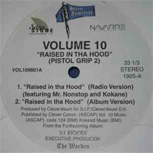 Volume 10 - Raised In The Hood mp3 album