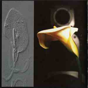 Black Current - Flowers Of End mp3 album