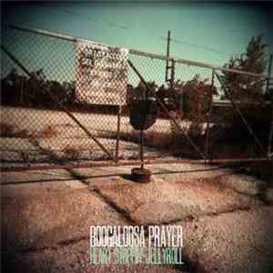 Boogaloosa Prayer - Heart Stoppin' Jelly Roll mp3 album