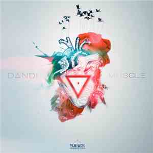 DANDI - Muscle mp3 album