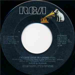 Dave & Sugar - I'm Knee Deep In Loving You mp3 album