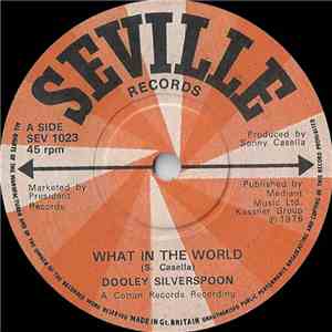 Dooley Silverspoon - What In The World mp3 album