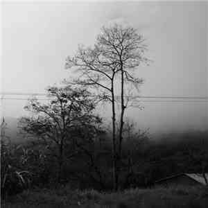 Fernn - Along The Roadside Between You And Me mp3 album