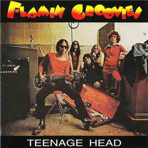 Flamin Groovies - Teenage Head mp3 album