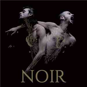 Heymoonshaker - Noir mp3 album