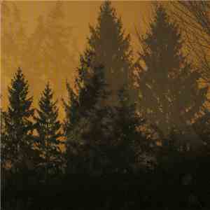 If These Trees Could Talk - Above The Earth, Below The Sky mp3 album