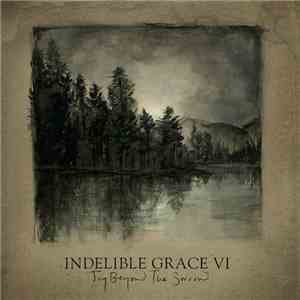 Indelible Grace - Indelible Grace VI (Joy Beyond The Sorrow) mp3 album