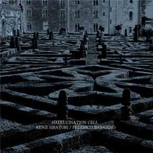 Kenji Siratori / Federico Barabino - Hallucination Cell mp3 album