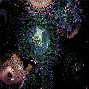 Liife - By The Waters The Trees mp3 album