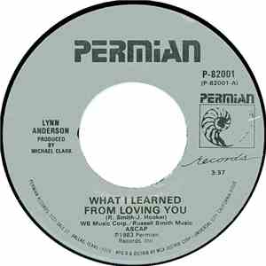 Lynn Anderson - What I Learned From Loving You / Mr. Sundown mp3 album