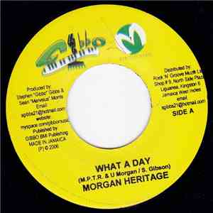 Morgan Heritage - What A Day mp3 album