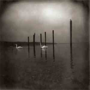 Om  - Conference Of The Birds mp3 album
