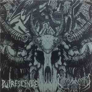 Putrescence / I Die Screaming - Putrescence / I Die Screaming mp3 album