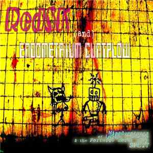RedSK vs. endometrium cuntplow - Misadventures Of Lucha Lesbians And The Portable Robot Rape Split mp3 album
