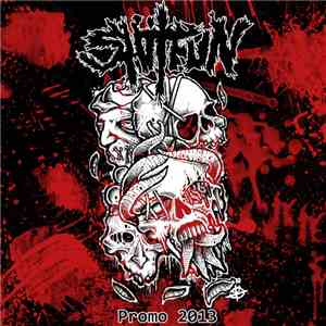 Shitfun - Promo 2013 mp3 album
