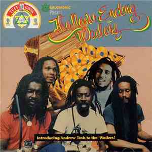 The Wailers - The Never Ending Wailers mp3 album