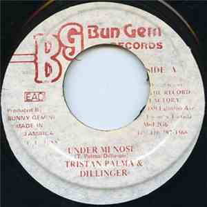 Triston Palmer & Dillinger - Under Mi Nose mp3 album