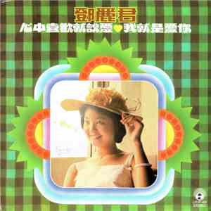 鄧麗君 - 心中喜歡就說愛 我就是愛你 mp3 album