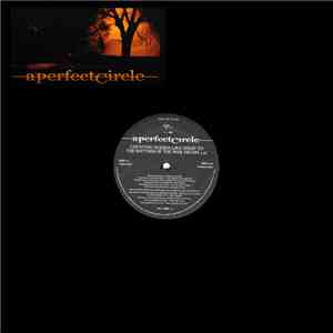 A Perfect Circle - Counting Bodies Like Sheep To The Rhythm Of The War Drums mp3 album
