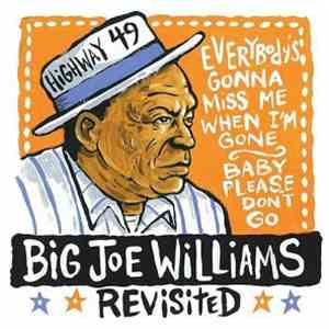 Big Joe Williams - Big Joe Williams - Revisited mp3 album