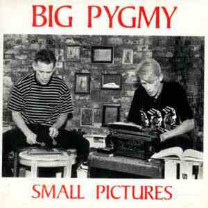 Big Pygmy - Small Pictures mp3 album