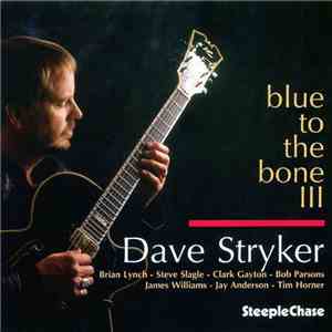 Dave Stryker - Blue To The Bone III mp3 album