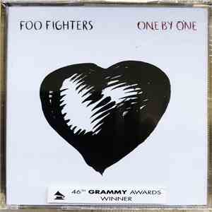 Foo Fighters - One By One mp3 album