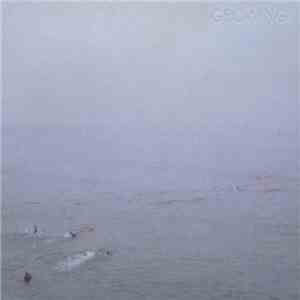 Growing - The Sky's Run Into The Sea mp3 album