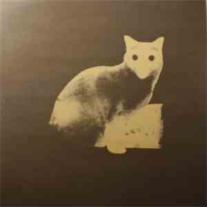 It's Not Not - Bound For The Shine mp3 album