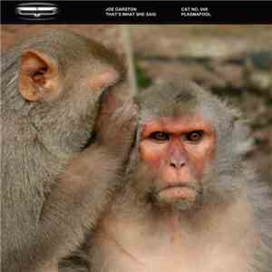 Joe Garston - That's What She Said mp3 album