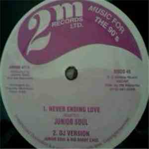 Junior Soul - Never Ending Love mp3 album