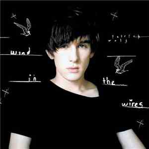 Patrick Wolf - Wind In The Wires mp3 album