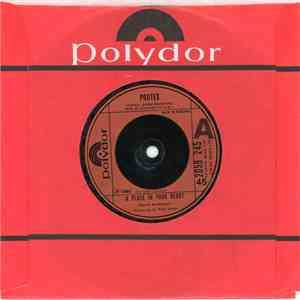 Protex - A Place In Your Heart mp3 album