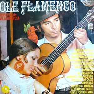 Roberto De Villargarcia - Ole Flamenco mp3 album